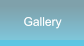 Gallery Gallery